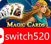 《魔法纸牌2：生命之泉》游戏主图