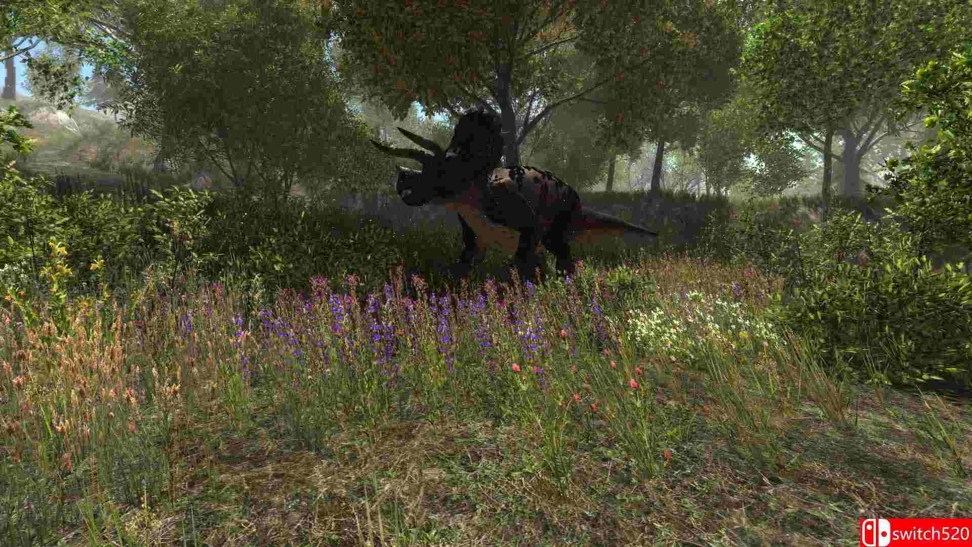 《恐龙森林（Dinosaur Forest）》HI2U镜像版[EN]_5