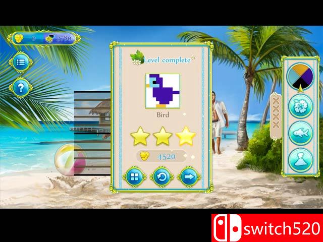 《数图：热带乐趣（Griddlers: Tropical Delight）》F4CG硬盘版[EN]_2