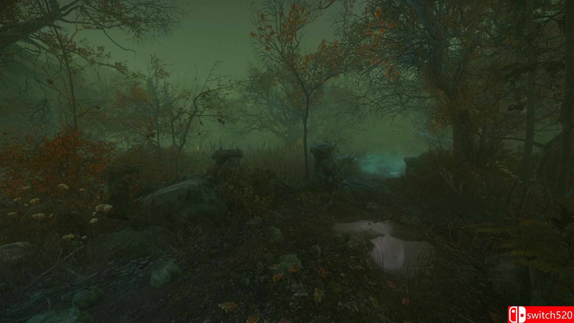 《诅咒丛林（The Cursed Forest）》HOODLUM镜像版[EN]_1