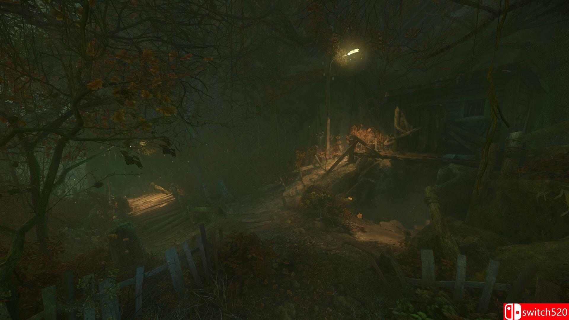 《诅咒丛林（The Cursed Forest）》HOODLUM镜像版[EN]_3