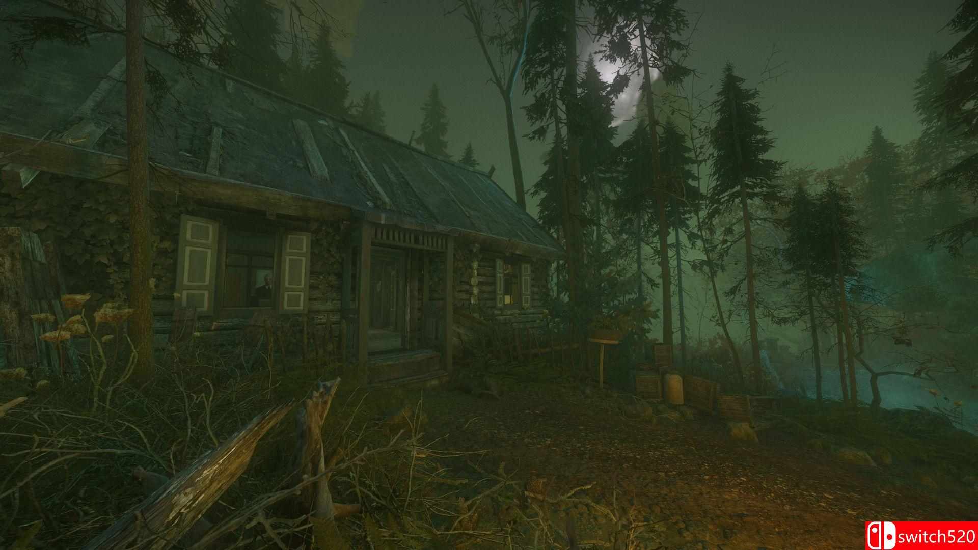 《诅咒丛林（The Cursed Forest）》HOODLUM镜像版[EN]_2