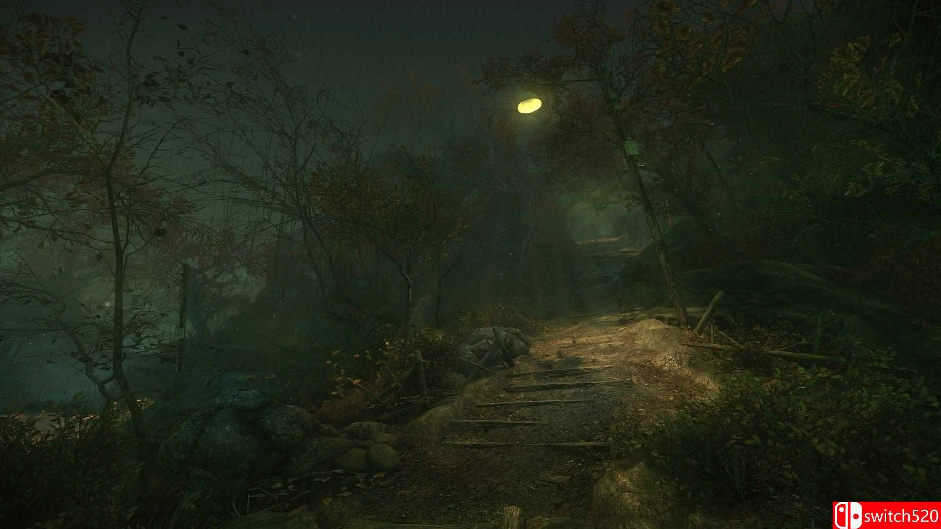 《诅咒丛林（The Cursed Forest）》HOODLUM镜像版[EN]_4