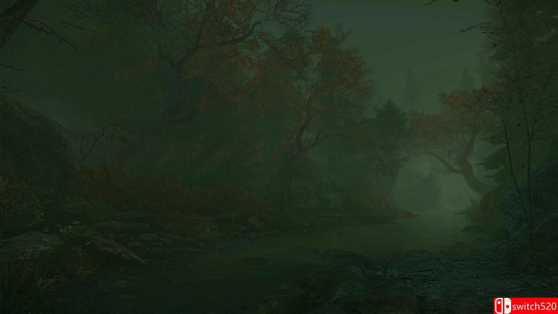 《诅咒丛林（The Cursed Forest）》HOODLUM镜像版[EN]_5