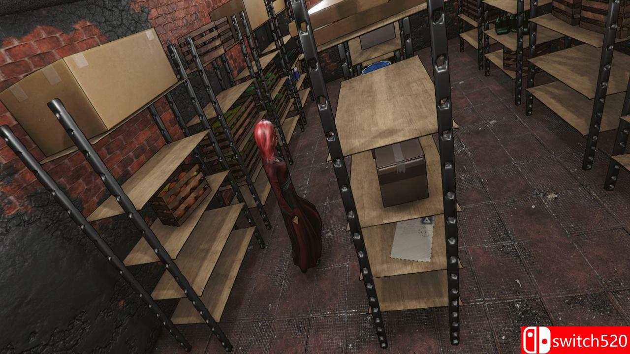 《被遗忘的面孔（Forgotten Faces）》PLAZA镜像版[EN]_1