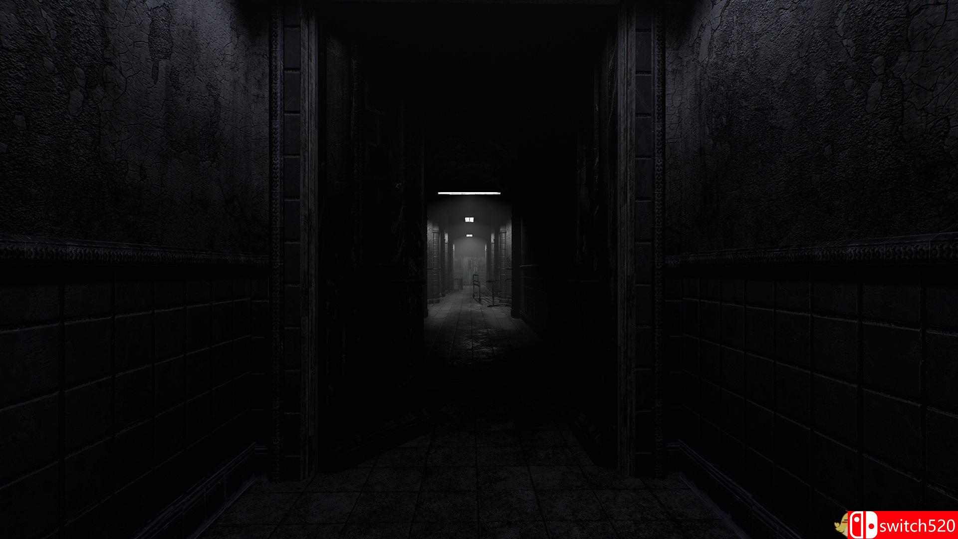 《疯狂之源（Rise of Insanity）》PLAZA镜像版[EN]_2