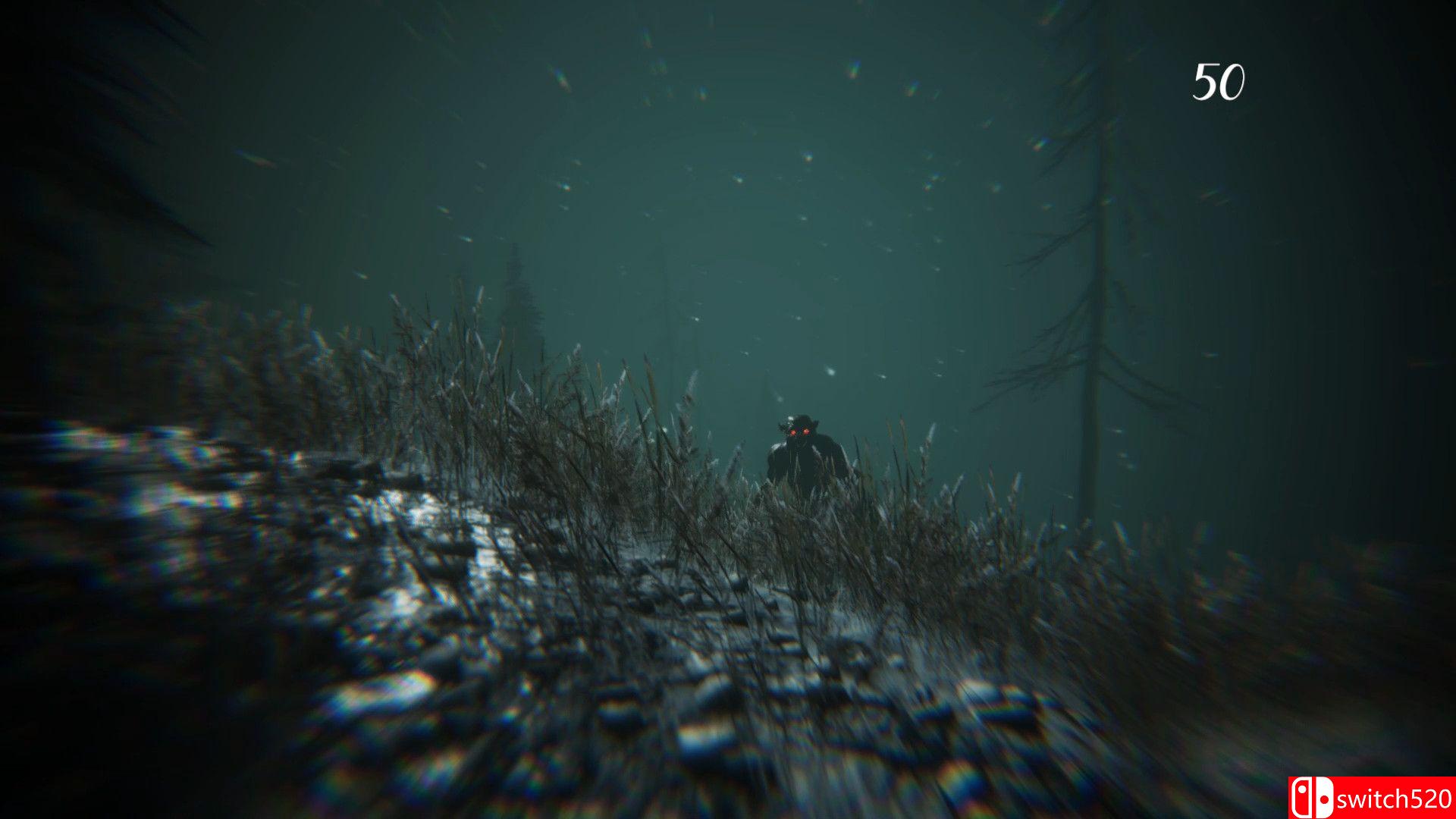 《森林怪兽（Gevaudan）》游戏截图4