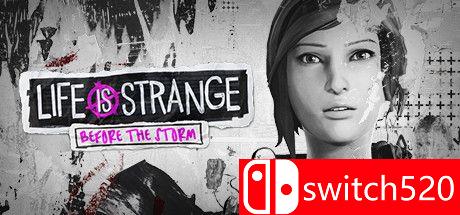 《奇异人生：风暴前夕》游戏封面