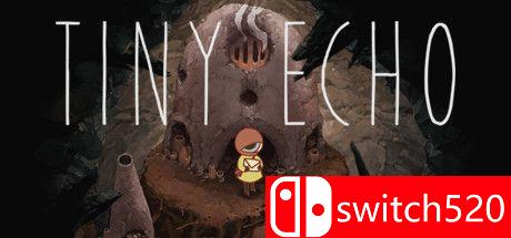 《微小的回声（Tiny Echo）》游戏封面