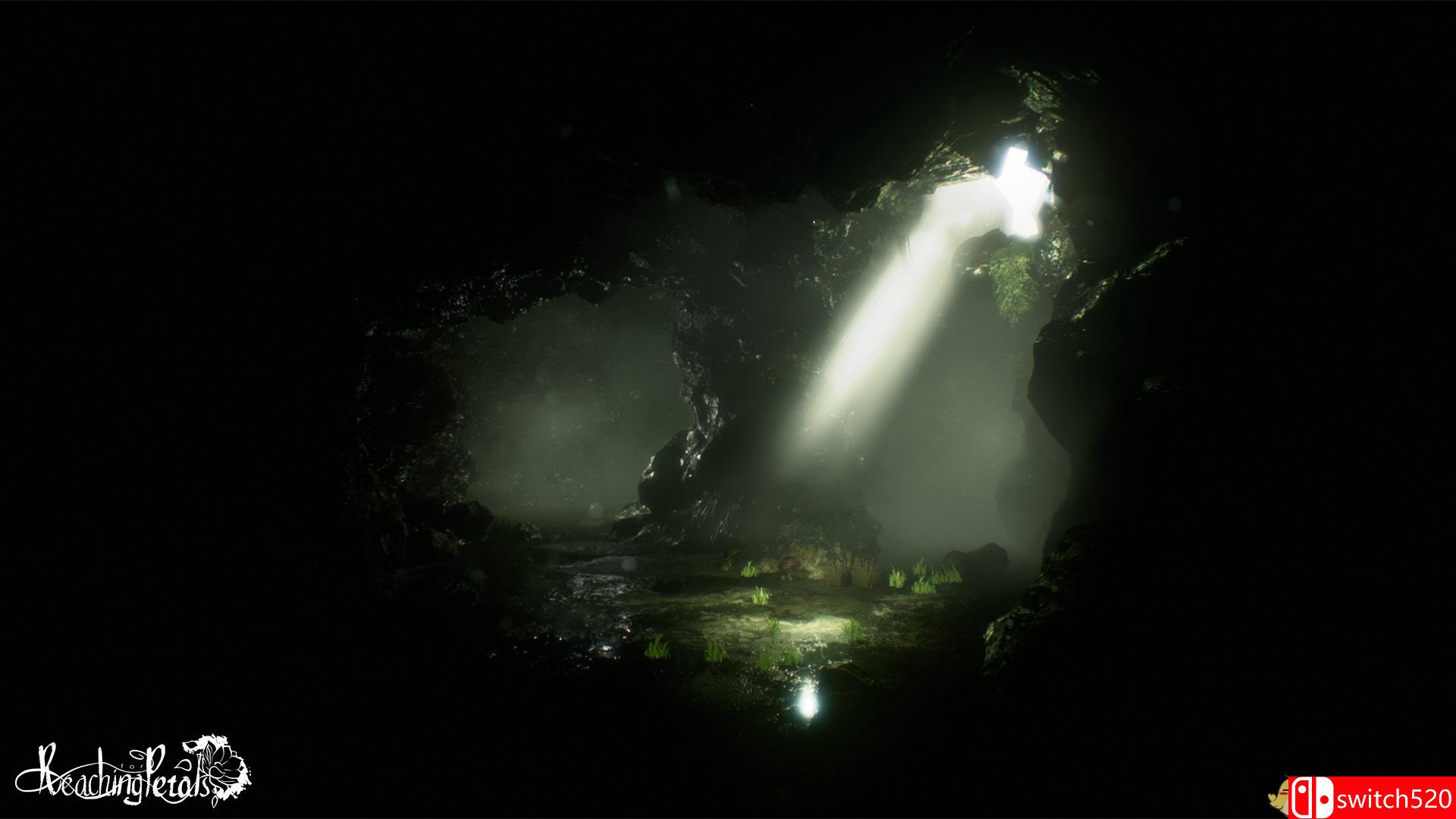 《触摸花瓣（Reaching for Petals）》CODEX镜像版[EN]_1