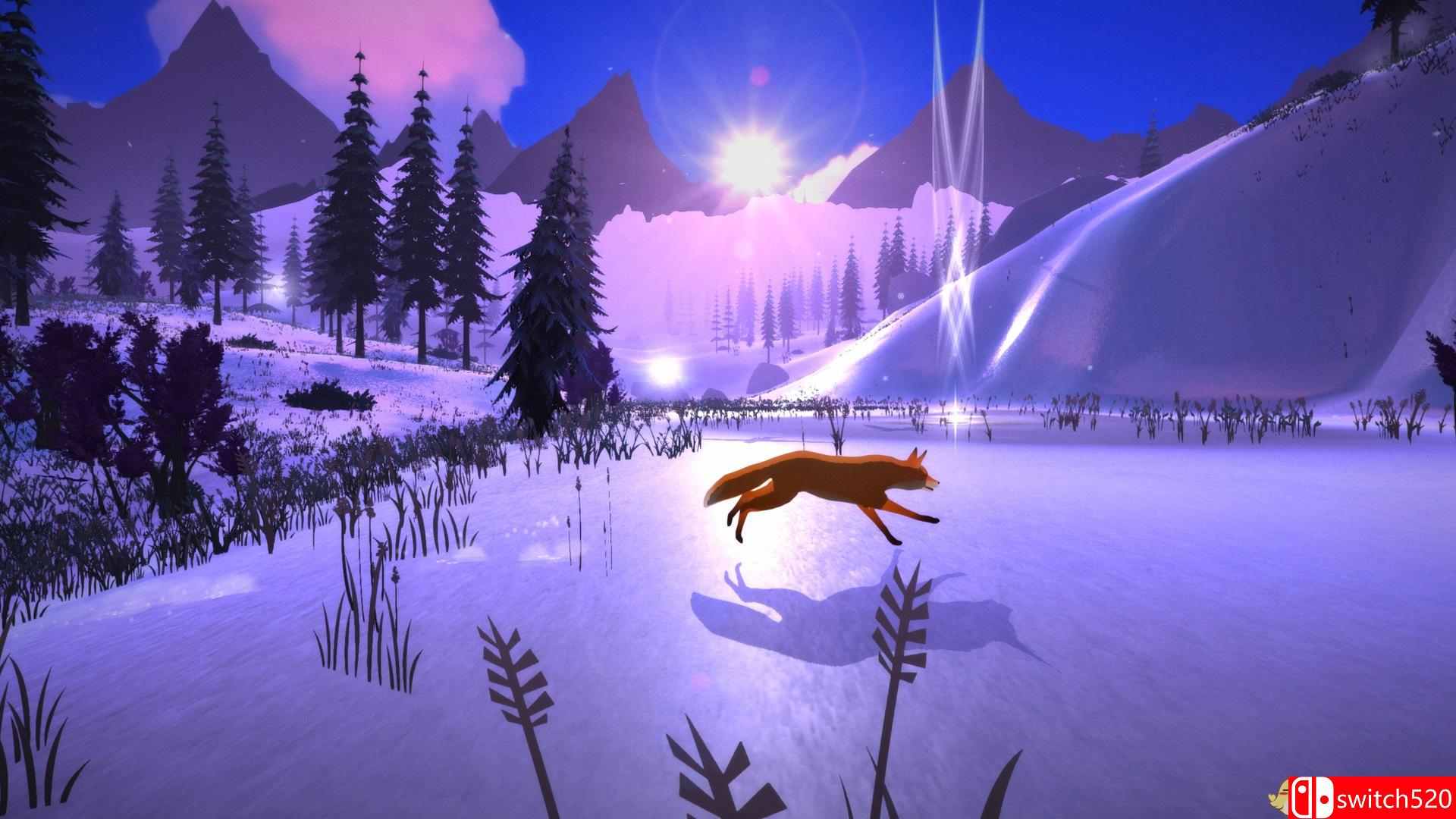 《第一棵树》游戏截图2