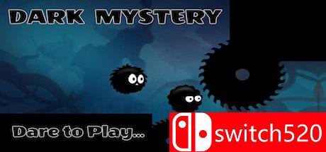 黑暗的奥秘游戏封面