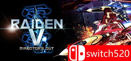 雷电5：导演剪辑版游戏封面