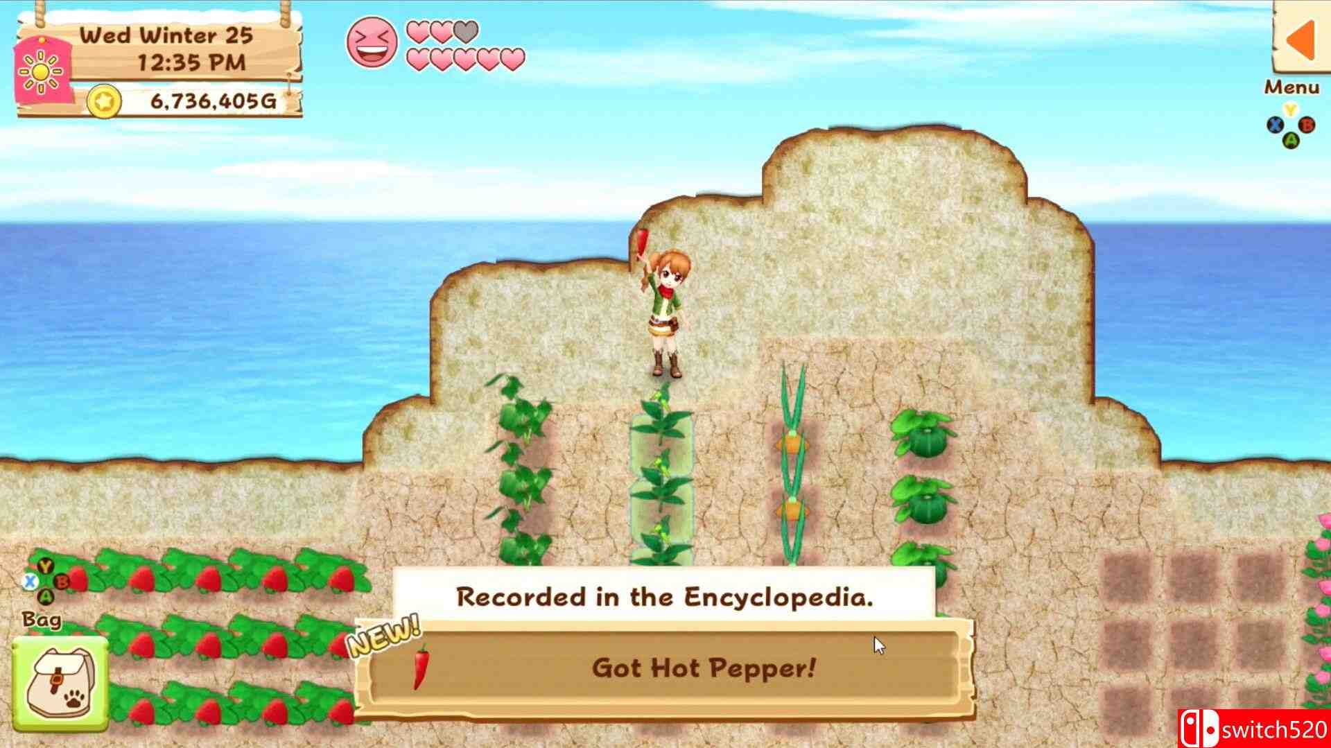 《牧场物语：希望之光》游戏截图2