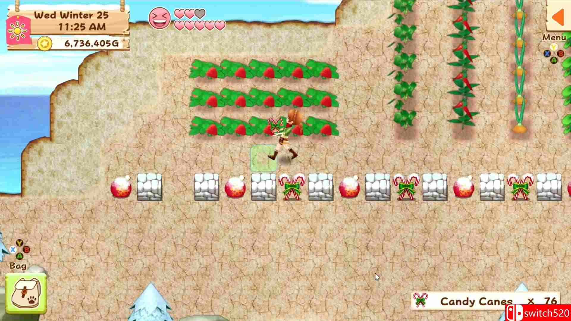 《牧场物语：希望之光》游戏截图5