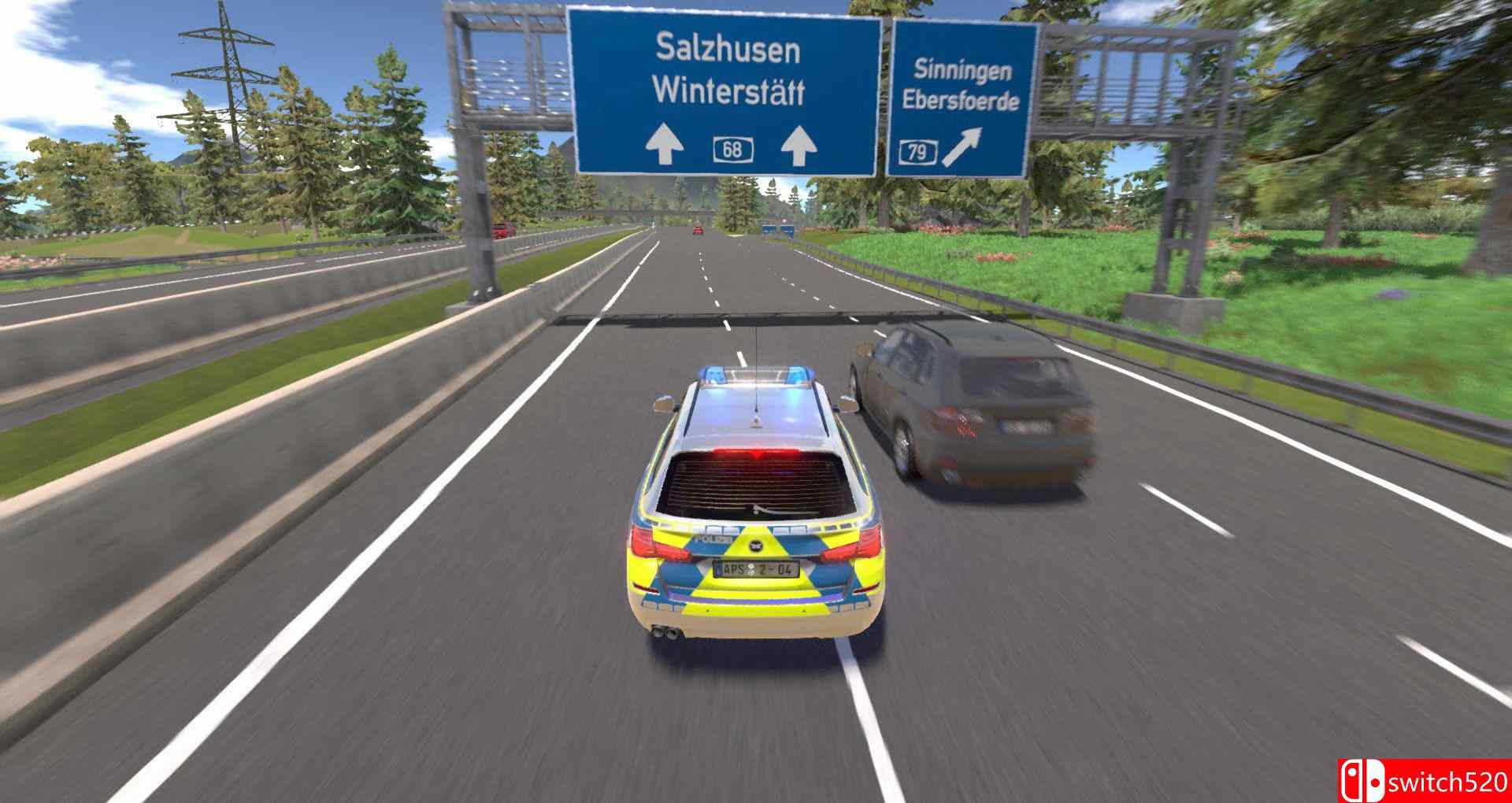 《高速公路交警模拟2（Autobahn Police Simulator 2）》CODEX镜像版[EN]_5