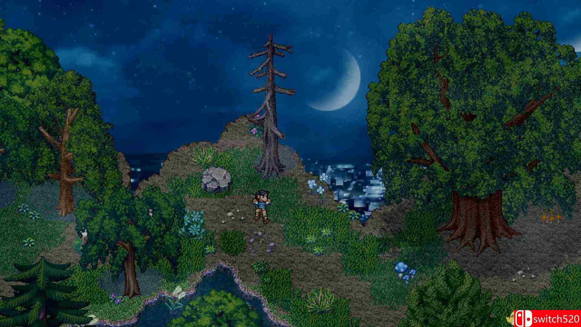 《寻找天堂（Finding Paradise）》十三国语言 PLAZA镜像版[CN/EN]_7