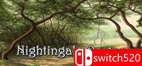 夜莺坠落游戏封面