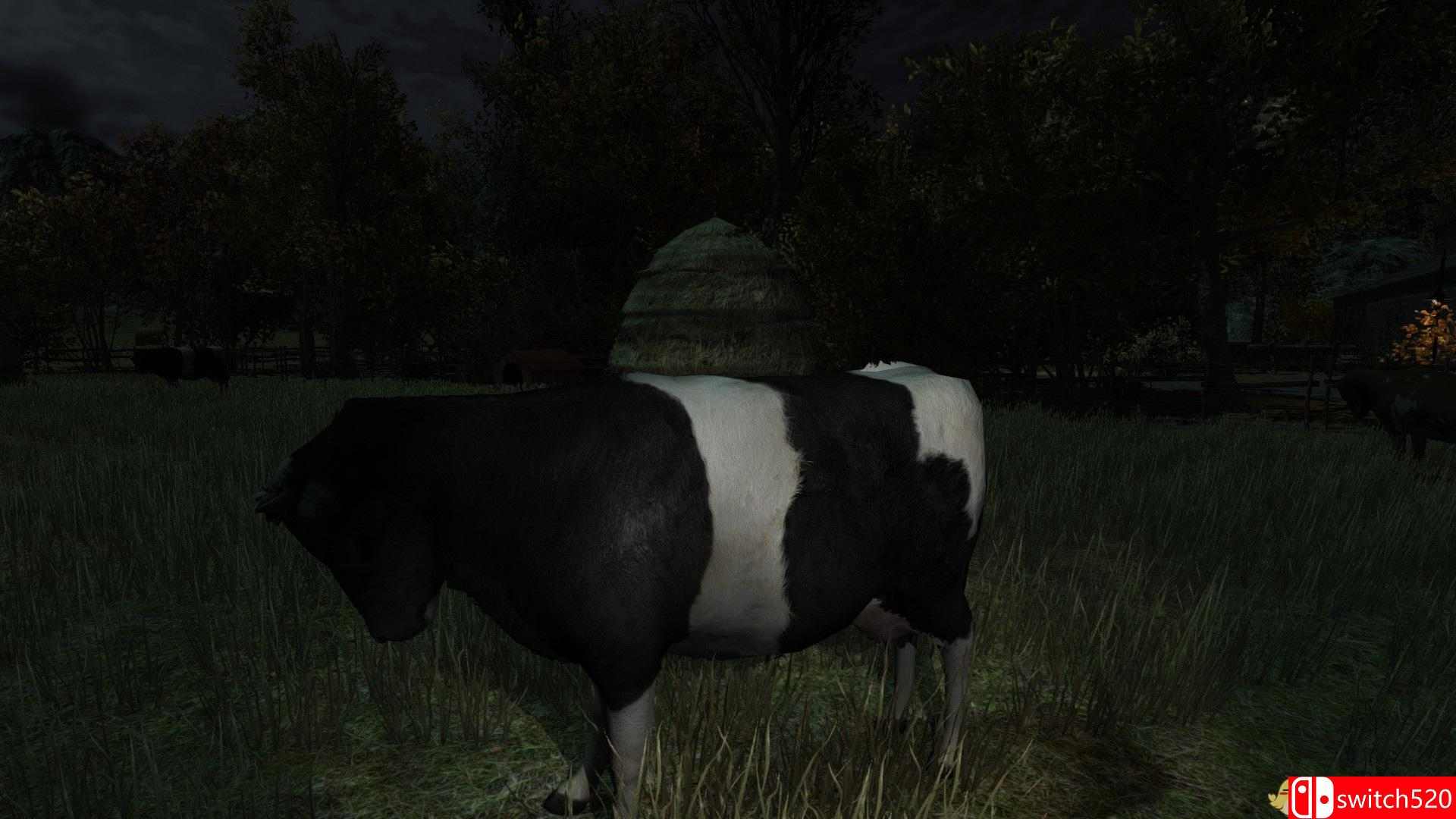 《奶牛正在看》游戏截图1