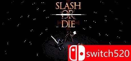 游戏《斩杀死神（Slash or Die）》封面图