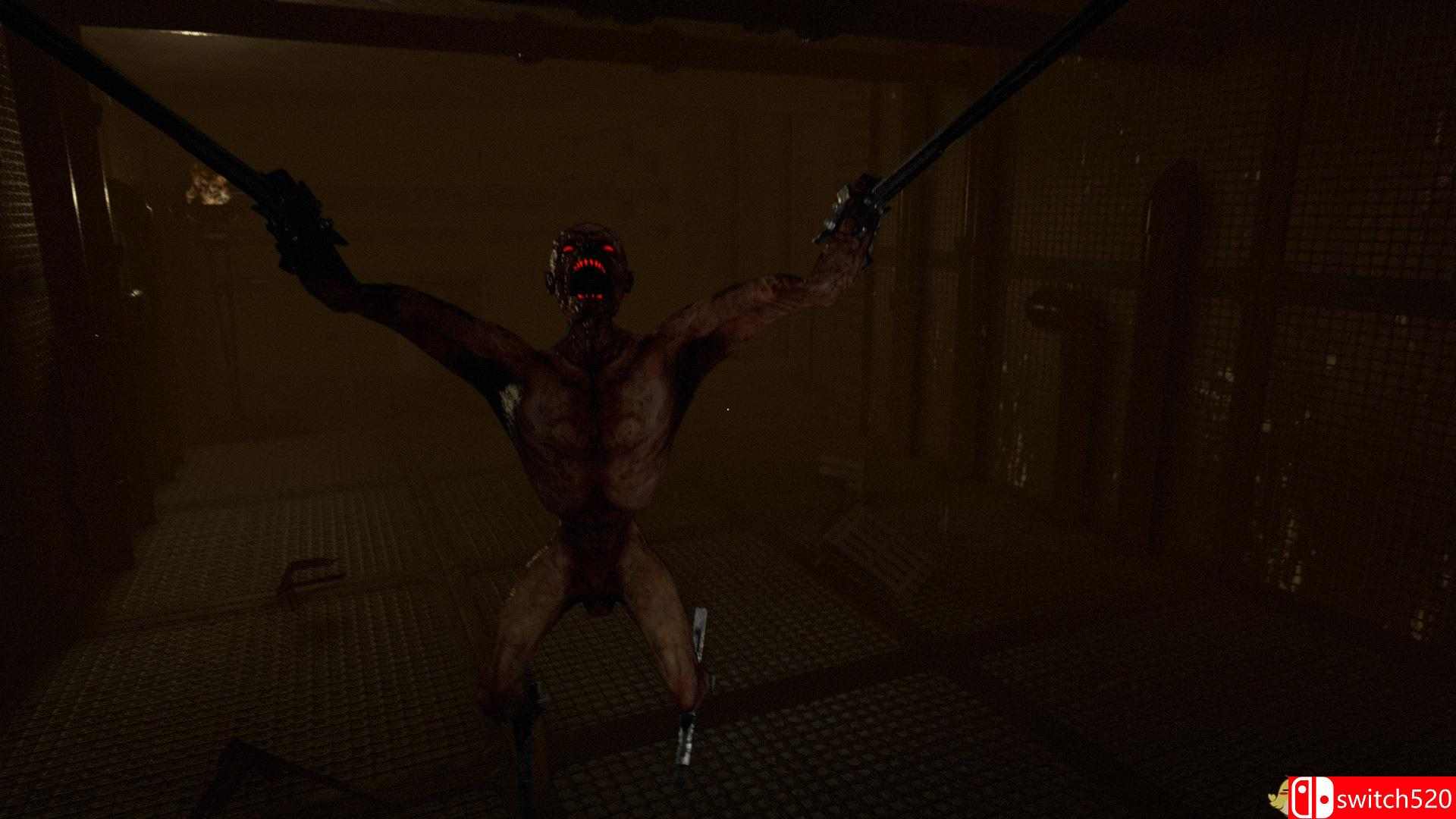 《寂静侵袭（Silent Descent）》PLAZA镜像版[EN]_3