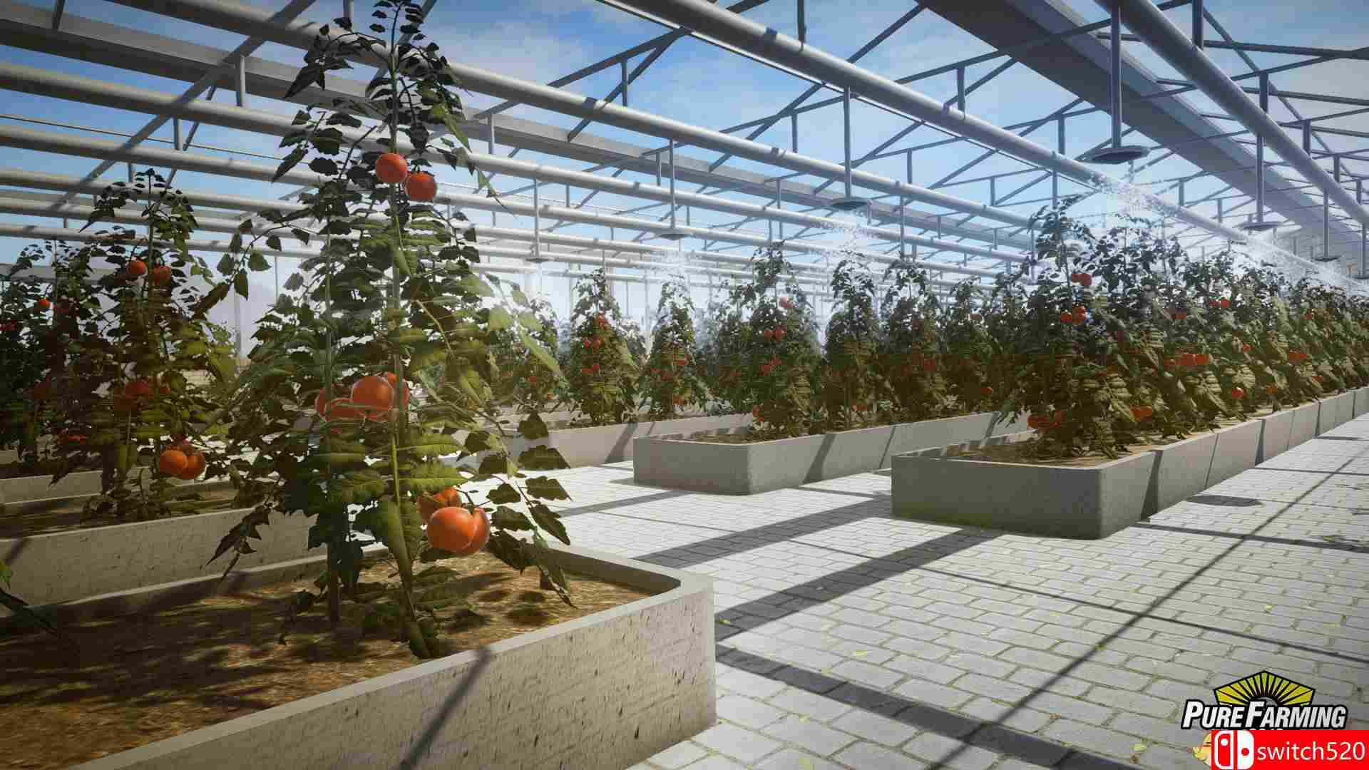 纯粹农场2018截图5