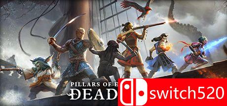 《永恒之柱2：死火》游戏封面