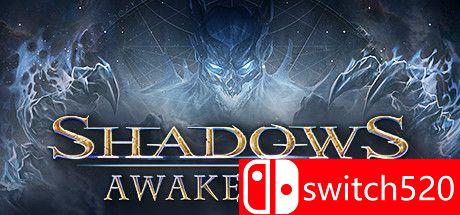 《暗影：觉醒（Shadows: Awakening）》游戏封面