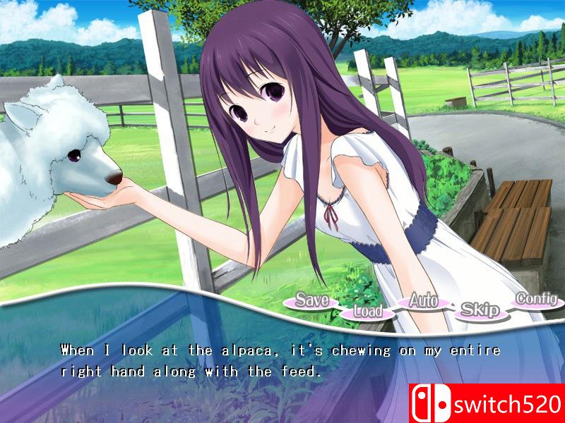 《羊驼女友（PacaPlus）》DARKSiDERS镜像版[EN]_3