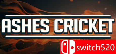 灰烬杯板球赛游戏封面