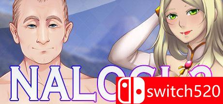 NALOGI 2游戏封面