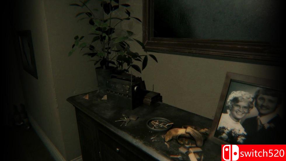 《P.T.（P.T.）》Early Access SAFTPRESSE镜像版[EN]_4