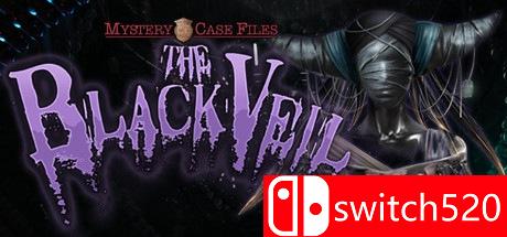 神秘视线15：黑色面纱游戏封面