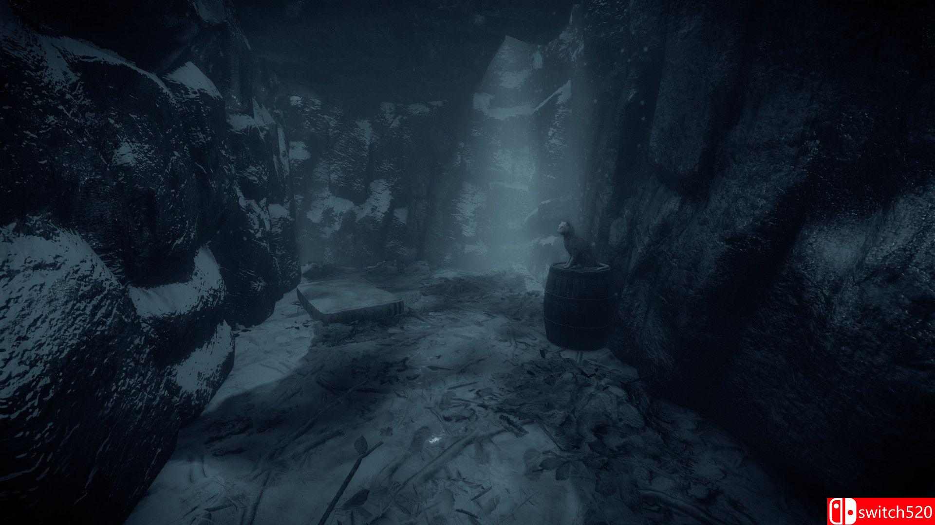 《阴暗面(ShadowSide)》游戏截图1