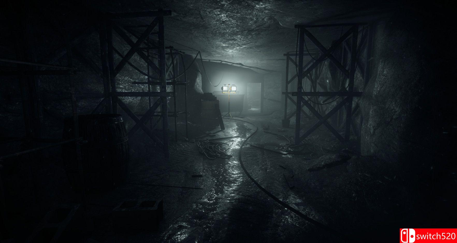 《阴暗面(ShadowSide)》游戏截图4