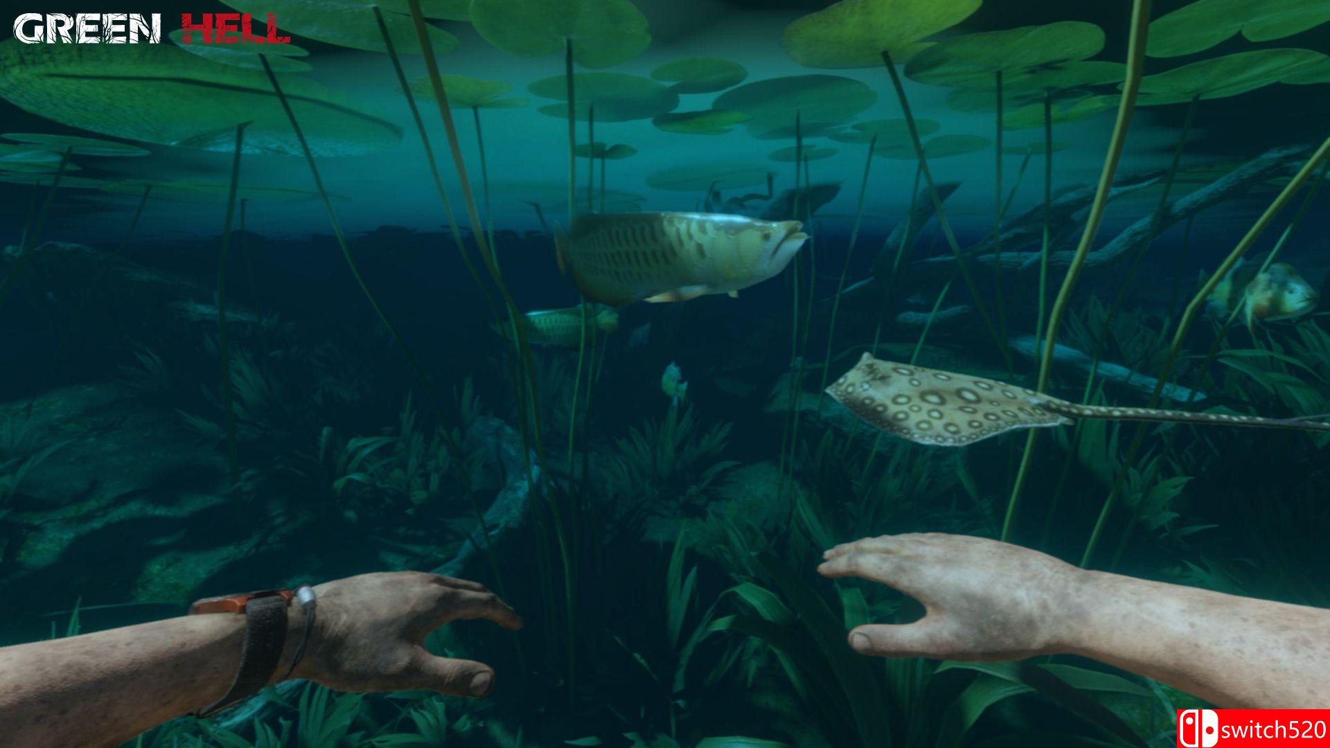 《绿色地狱》游戏截图5