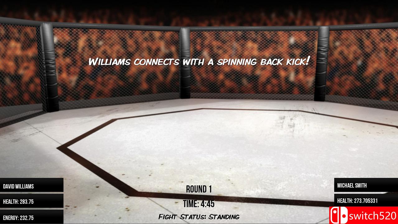 MMA模拟器游戏截图4