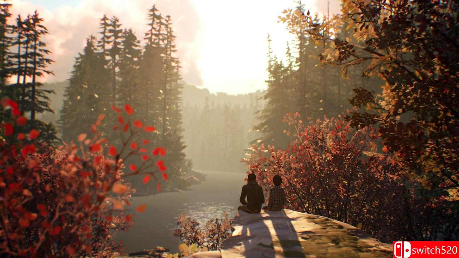 《奇异人生2（Life is Strange 2）》第1-2章 CPY镜像版[CN/EN]_5