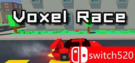 《体素赛车（Voxel Race）》游戏主图