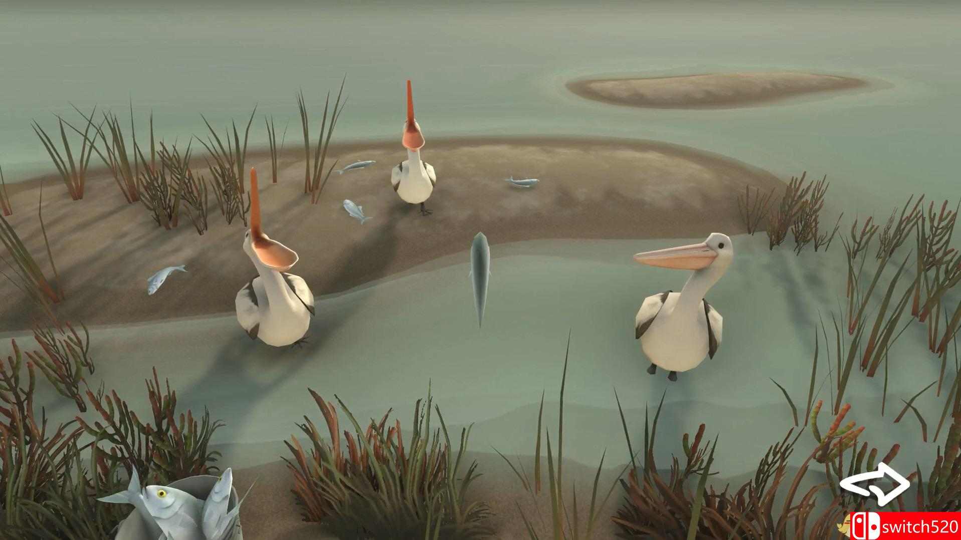 《风暴男孩（Storm Boy）》DARKSiDERS硬盘版[EN]_1