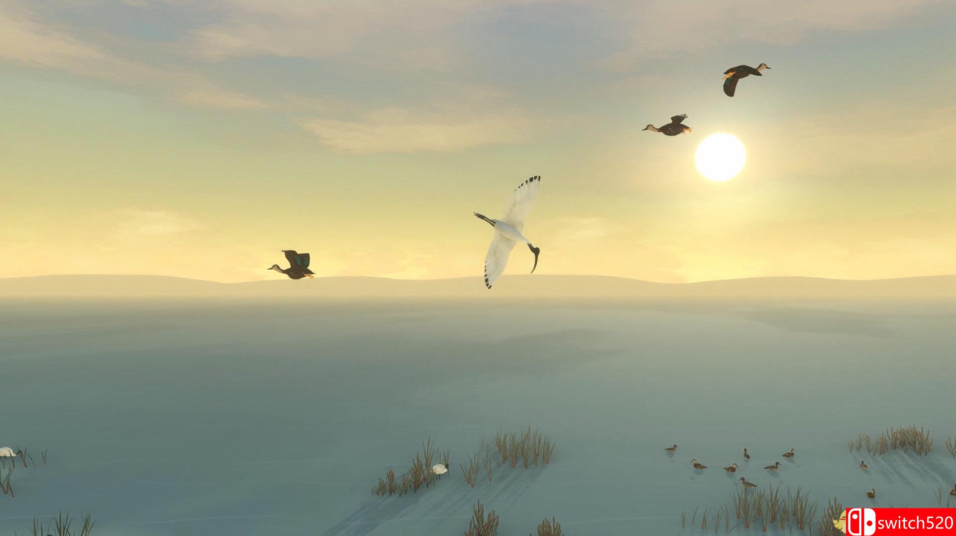 《风暴男孩（Storm Boy）》DARKSiDERS硬盘版[EN]_3