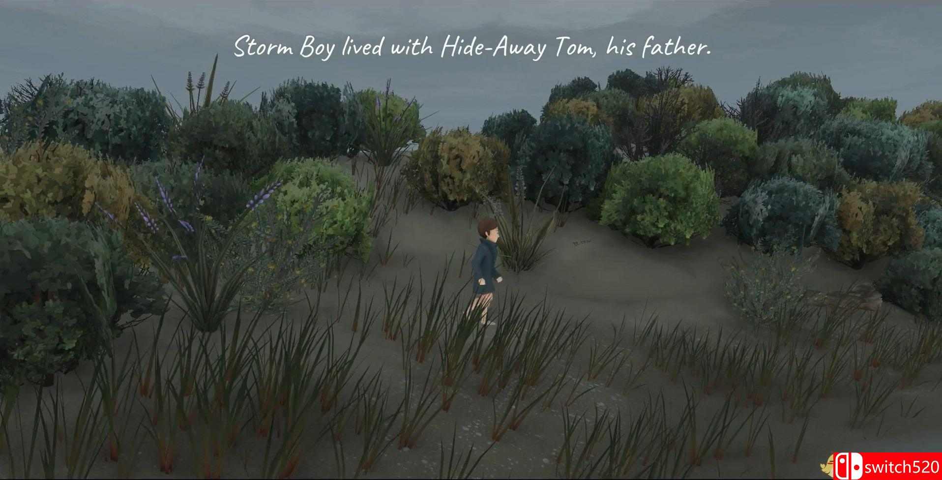 《风暴男孩（Storm Boy）》DARKSiDERS硬盘版[EN]_4