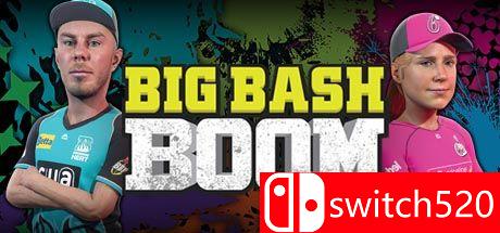 《爆裂猛击（Big Bash Boom）》游戏封面