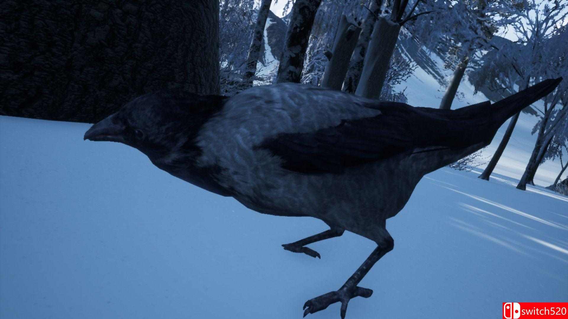 徒步模拟器2018截图2