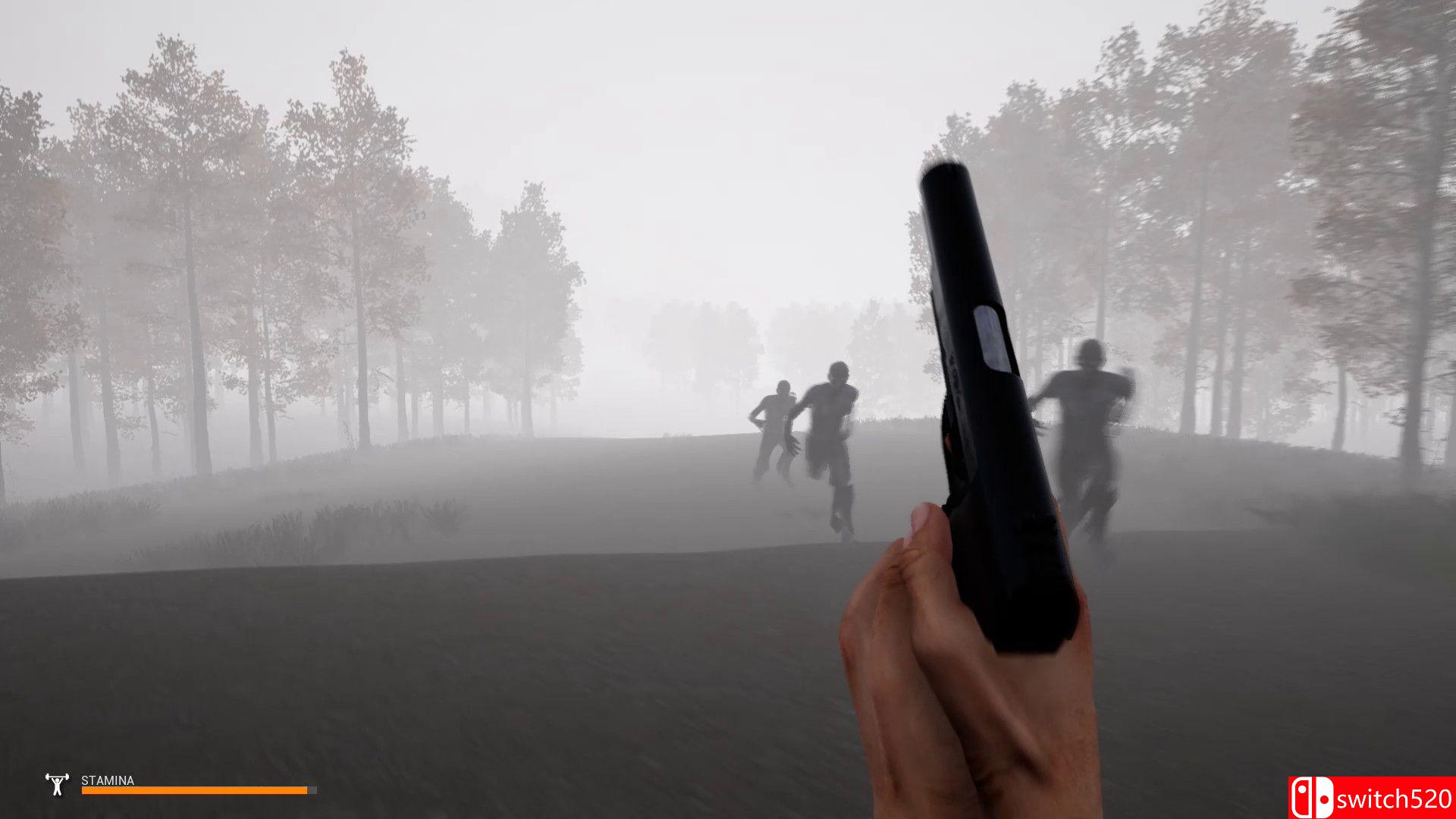 《迷雾生存（Mist Survival）》v0.4.1 P2P硬盘版[EN]_1