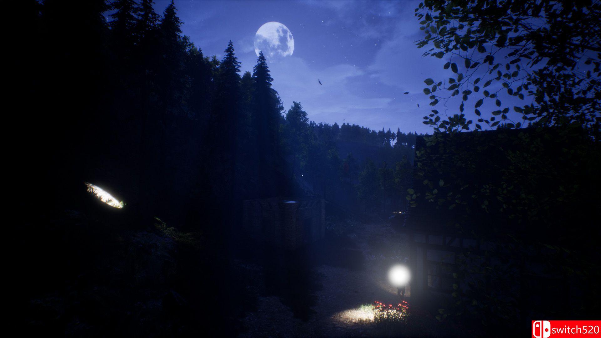 《光明之路（Light The Way）》SKIDROW镜像版[EN]_4