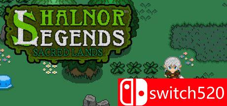《Shalnor传说：神圣的土地》游戏封面图