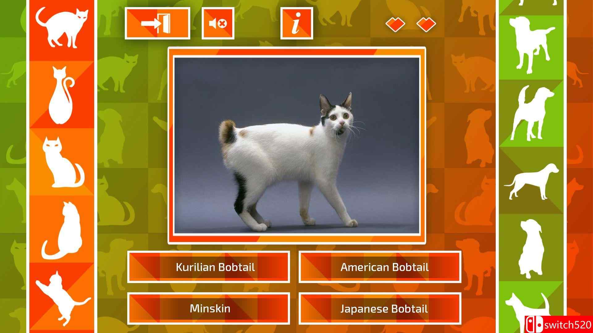 《JQ：狗和猫》游戏截图1