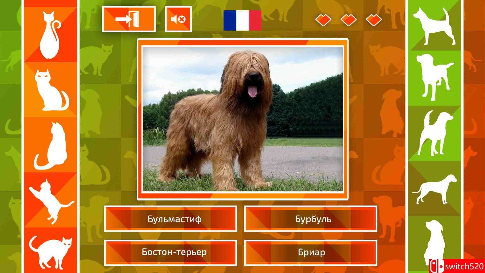 《JQ：狗和猫》游戏截图4