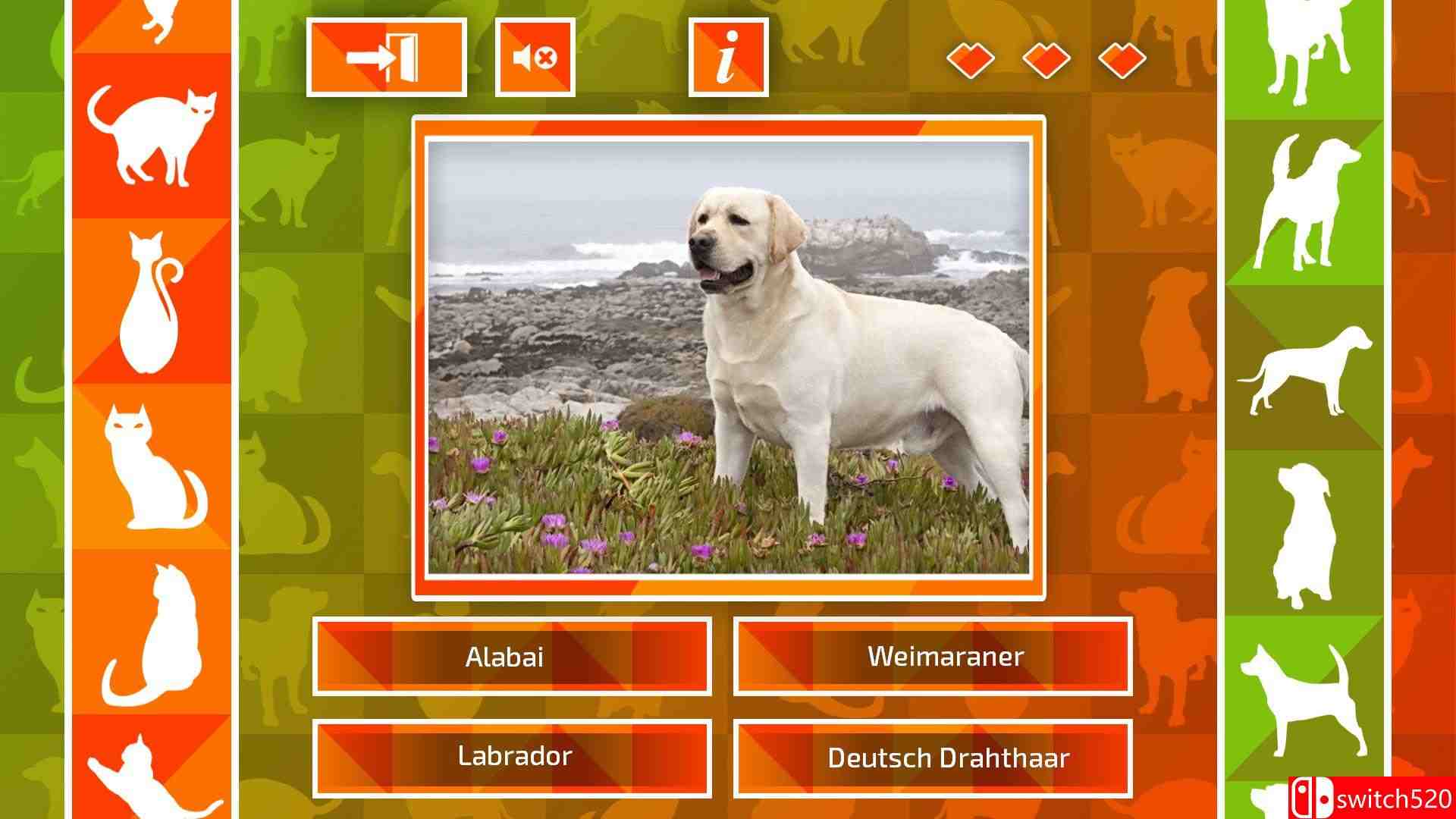 《JQ：狗和猫》游戏截图3